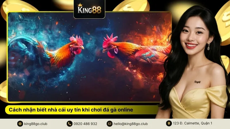 Cách nhận biết nhà cái uy tín khi chơi đá gà online 