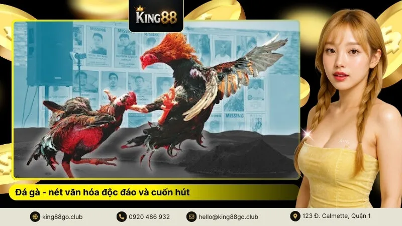 Đá gà - nét văn hóa độc đáo và cuốn hút