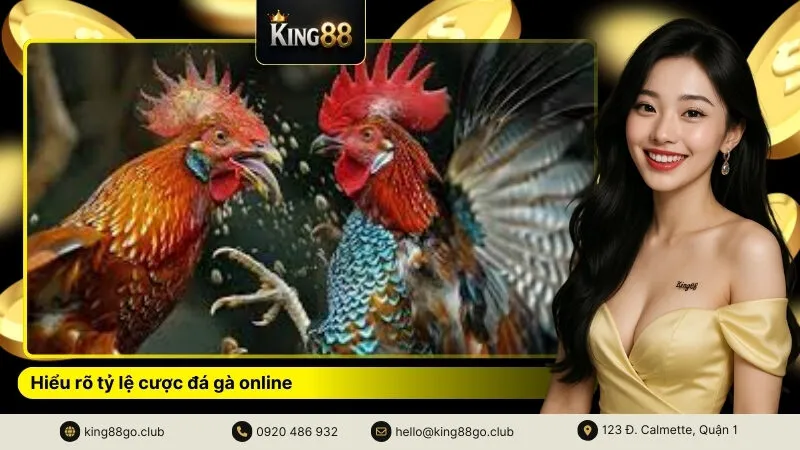 Hiểu rõ tỷ lệ cược đá gà online