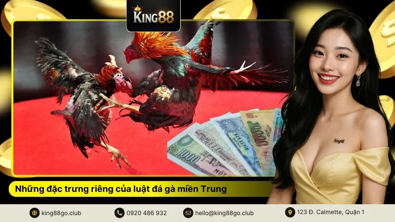 Những đặc trưng riêng của luật đá gà miền Trung