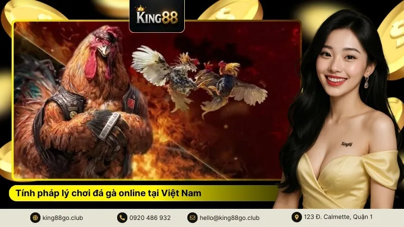 Tính pháp lý chơi đá gà online tại Việt Nam